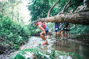 BIB: 
                            <button type="button" onclick="openModal(25444731)" class="btn btn-primary btn-sm float-right btn-popup" data-toggle="modal" data-target=".modal-high-quality">
                        <i class="fas fa-shopping-cart"></i> Add to Cart
                    </button>
                                            <button type="button" onclick="isThisMe(25444731, true)" class="btn btn-success btn-sm float-right btn-popup btn-isme hidden" data-toggle="tooltip" data-placement="bottom" title="นี่คือรูปของคุณใช่ไหม คลิกที่นี่เพื่อเอาเข้าอัลบั้ม">
                        <i class="fas fa-plus"></i> Add to album
                    </button>
                    <button type="button" onclick="isThisMe(25444731, false)" class="btn btn-warning btn-sm float-right btn-popup btn-isnotme hidden">
                        <i class="fas fa-ban"></i> Remove from album
                    </button>